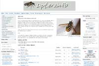 Zweiflügler This is an interactive site for dipterists from all continents